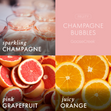 Load image into Gallery viewer, Champagne Bubbles 3-Wick Candle
