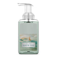 Load image into Gallery viewer, Chilly Rain Showers Lush Foaming Hand Soap
