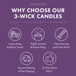 Load image into Gallery viewer, Chilly Rain Showers Odor Eliminating 3-Wick Candle
