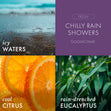 Load image into Gallery viewer, Chilly Rain Showers Odor Eliminating Wax Melt
