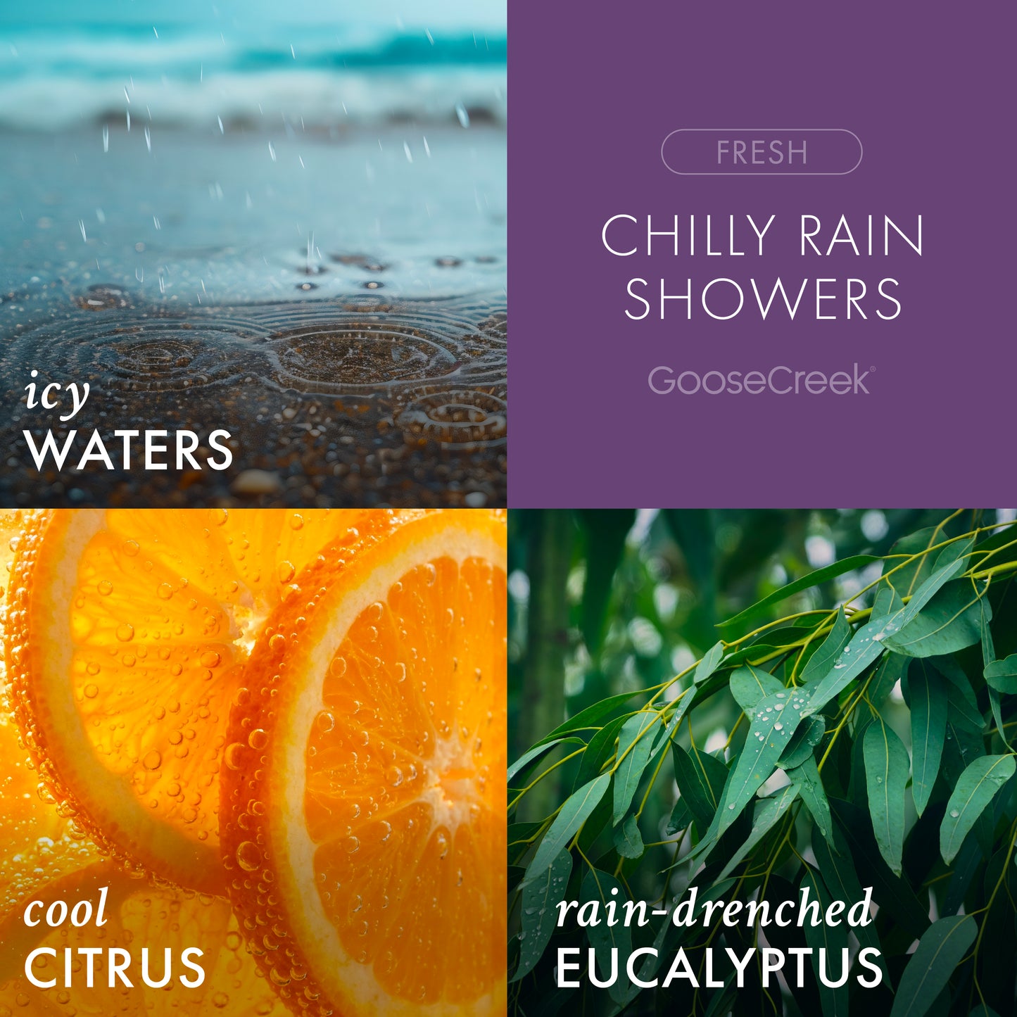 Chilly Rain Showers Odor Eliminating Wax Melt