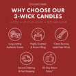 Load image into Gallery viewer, Chocolate Peanut Butter Girl Scouts 3-Wick Candle
