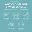 Load image into Gallery viewer, Christmas Magic 3-Wick Candle
