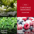 Load image into Gallery viewer, Christmas Memories 3-Wick Candle
