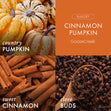 Load image into Gallery viewer, Cinnamon Pumpkin 3-Wick Candle
