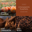 Load image into Gallery viewer, Cinnamon Pumpkin 3-Wick Candle
