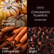 Load image into Gallery viewer, Cinnamon Pumpkin 3-Wick Candle
