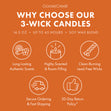 Load image into Gallery viewer, Cinnamon Pumpkin 3-Wick Candle
