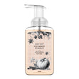 Load image into Gallery viewer, Cinnamon Pumpkin Lush Foaming Hand Soap
