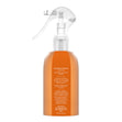 Load image into Gallery viewer, Cinnamon Pumpkin Odor Eliminating Room Spray
