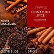 Load image into Gallery viewer, Cinnamon Spice 3-Wick Candle
