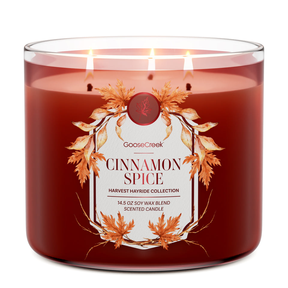Cinnamon Spice 3-Wick Candle
