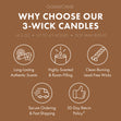 Load image into Gallery viewer, Cinnamon Sugar Vanilla 3-Wick Candle
