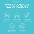 Load image into Gallery viewer, Cinnamoroll Hello Kitty 3-Wick Candle
