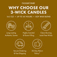 Load image into Gallery viewer, Classic Christmas Tree 3-Wick Candle
