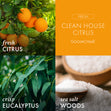Load image into Gallery viewer, Clean House Citrus 3-Wick Candle
