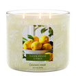 Load image into Gallery viewer, Clean House Citrus 3-Wick Candle
