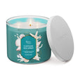 Load image into Gallery viewer, Cliffside Sea Spray 3-Wick Candle

