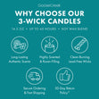 Load image into Gallery viewer, Cliffside Sea Spray 3-Wick Candle
