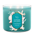 Load image into Gallery viewer, Cliffside Sea Spray 3-Wick Candle
