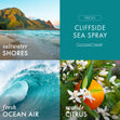 Load image into Gallery viewer, Cliffside Sea Spray Lush Foaming Hand Soap
