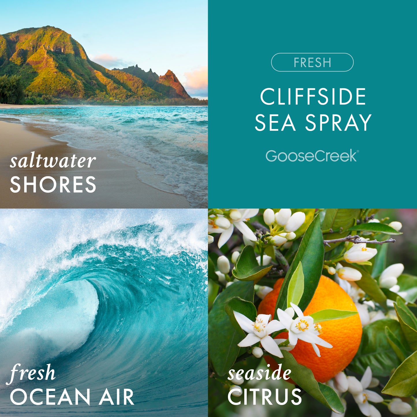 Cliffside Sea Spray Lush Foaming Hand Soap