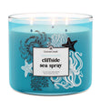 Load image into Gallery viewer, Cliffside Sea Spray Odor Eliminating 3-Wick Candle
