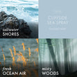 Load image into Gallery viewer, Cliffside Sea Spray Wax Melt

