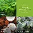 Load image into Gallery viewer, Coastal Rain Storm 3-Wick Candle
