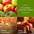 Load image into Gallery viewer, Coconut Caramel Apple 3-Wick Candle
