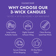 Load image into Gallery viewer, Coconut Caramel Girl Scouts 3-Wick Candle
