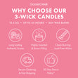 Load image into Gallery viewer, Coconut Cherry Macaron 3-Wick Candle
