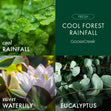 Load image into Gallery viewer, Cool Forest Rainfall 3-Wick Candle
