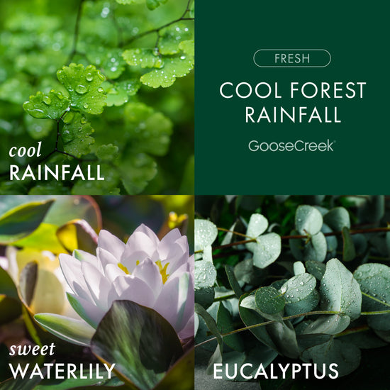 Cool Forest Rainfall 3-Wick Candle – Goose Creek Candle