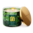 Load image into Gallery viewer, Cool Forest Rainfall 3-Wick Candle
