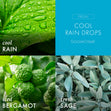 Load image into Gallery viewer, Cool Rain Drops 3-Wick Candle
