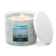Load image into Gallery viewer, Cool Rain Drops 3-Wick Candle

