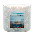 Load image into Gallery viewer, Cool Rain Drops 3-Wick Candle
