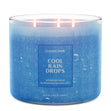 Load image into Gallery viewer, Cool Rain Drops Odor Eliminating 3-Wick Candle
