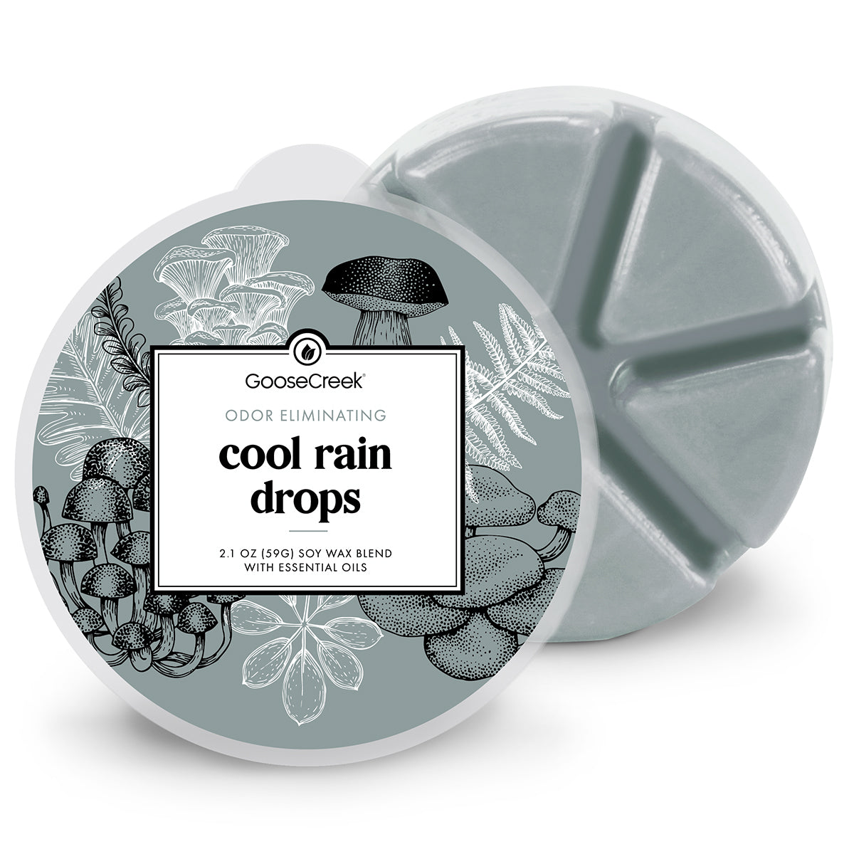 Cool Rain Odor Eliminating Wax Melt