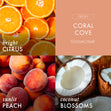 Load image into Gallery viewer, Coral Cove 3-Wick Candle
