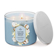 Load image into Gallery viewer, Cotton Vanilla Breeze 3-Wick Candle
