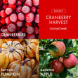 Load image into Gallery viewer, Cranberry Harvest 3-Wick Candle
