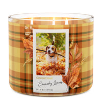 Crunchy Leaves 3-Wick Candle
