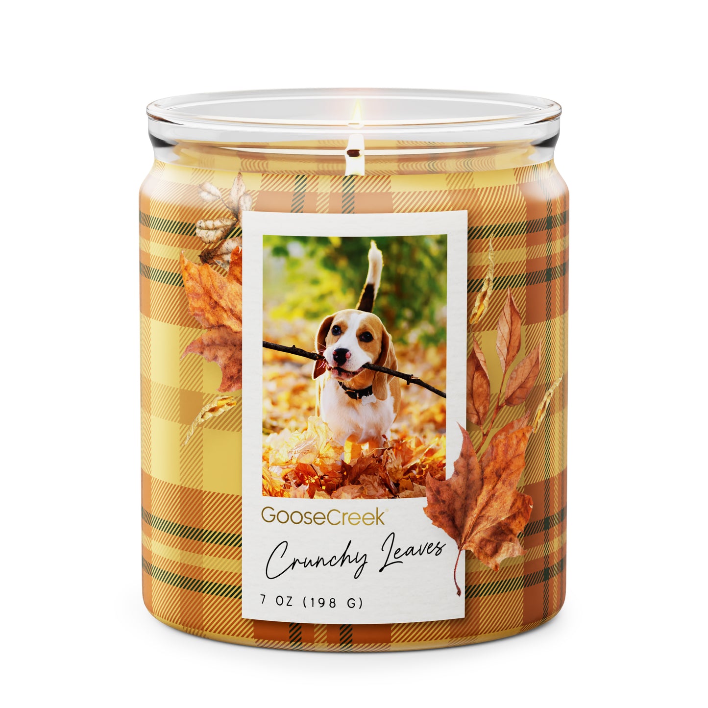 Crunchy Leaves 7oz Single Wick Candle