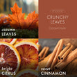 Load image into Gallery viewer, Crunchy Leaves Lush Foaming Hand Soap
