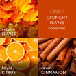 Load image into Gallery viewer, Crunchy Leaves Wax Melt
