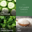 Load image into Gallery viewer, Cucumber Garden 3-Wick Candle
