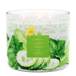 Load image into Gallery viewer, Cucumber Garden 3-Wick Candle
