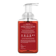 Load image into Gallery viewer, Dashing Through The Snow Lush Foaming Hand Soap
